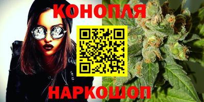 прущие крисы Кулебаки