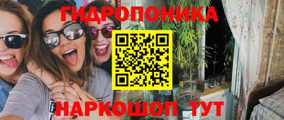 прущие крисы Кулебаки