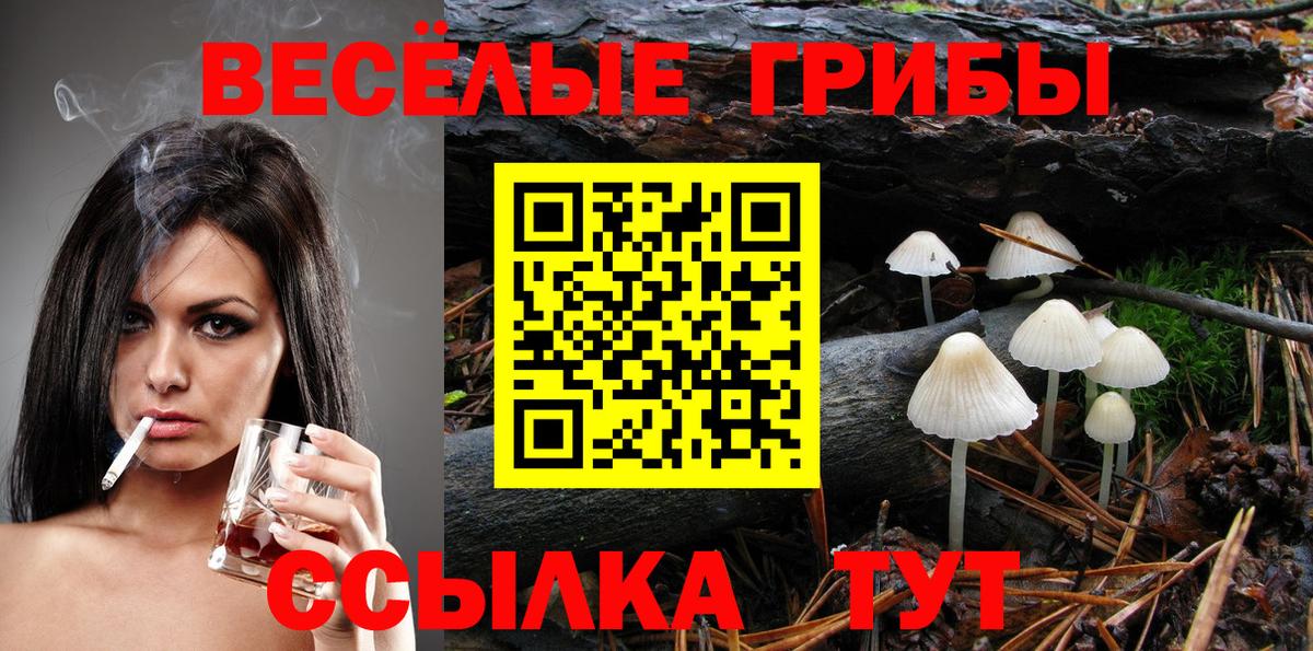 Псилоцибиновые грибы Cubensis  Вход с VPN  Клин  Псилоцибиновые грибы Magic Shrooms 